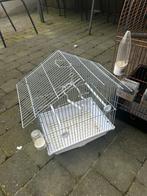 Cage à oiseaux, Animaux & Accessoires