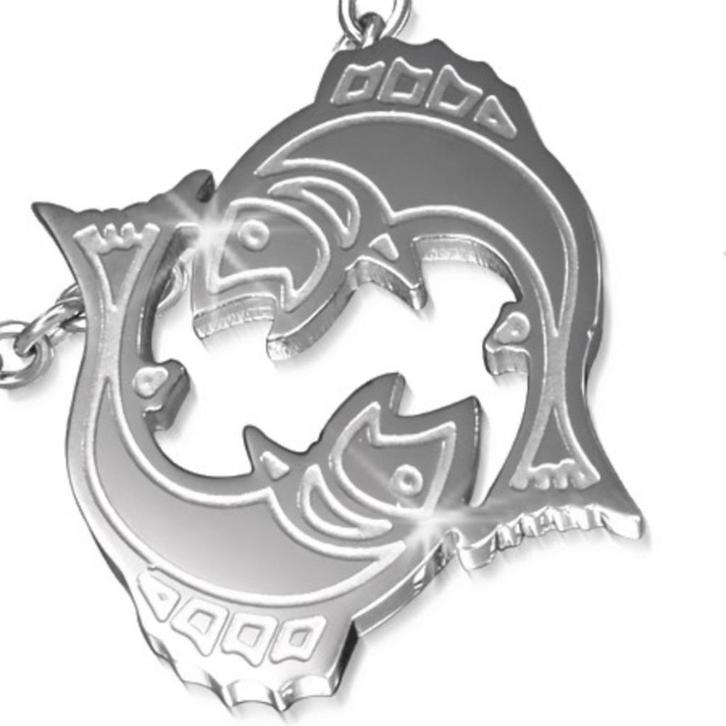 'Vissen' horoscoop / sterrenbeeld hanger in edelstaal, Handtassen en Accessoires, Kettinghangers, Nieuw, Ophalen of Verzenden