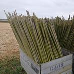 Te koop partij tonkinstokken/bamboestokken., Tuin en Terras, Palen, Balken en Planken, Ophalen, Gebruikt, Minder dan 180 cm, Overige typen