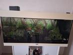 Aquarium 150L, Enlèvement, Utilisé, Aquarium vide