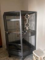 Cage perroquet, Animaux & Accessoires, Comme neuf, Volière