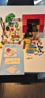 Playmobil 5222, Enlèvement