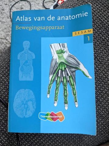 atlas de l'anatomie de Sesame, partie 1  disponible aux enchères