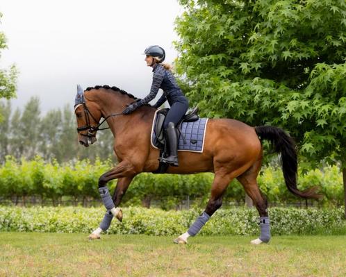 LeMieux Loire dressuur dekje Jay Blue full SUMMER SALE -35%!, Dieren en Toebehoren, Paarden en Pony's | Dekens en Dekjes, Nieuw
