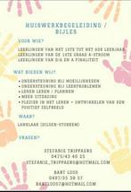 Bijles / huiswerkbegeleiding