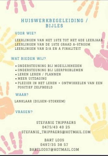 Bijles / huiswerkbegeleiding beschikbaar voor biedingen