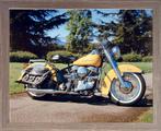 Harley panhead, Particulier, 1200 cm³