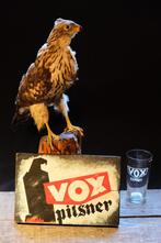 Publicité bière VOX PILSNER 1930 + rapace, Enlèvement ou Envoi