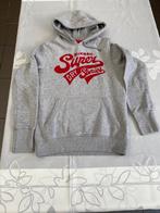 Hoodies  10 stuks, Ophalen of Verzenden, Gebruikt