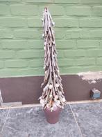 Kerstboom in Houten takken en bloempot, Ophalen