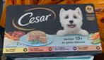 Lot de Barquettes Cesar Senior 10+ et sachets Rancho's bœuf, Ophalen, Hond