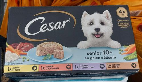 Lot de Barquettes Cesar Senior 10+ et sachets Rancho's bœuf, Dieren en Toebehoren, Dierenvoeding, Hond, Ophalen