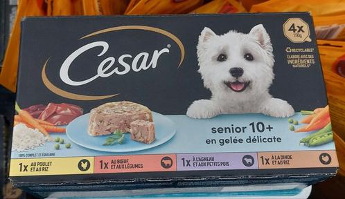 Barquettes Cesar Senior 10+ et sachets Rancho's bœuf, Animaux & Accessoires, Nourriture pour Animaux, Chien, Enlèvement