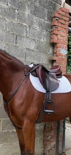 Selle CWD 17.5, Ophalen of Verzenden, Zo goed als nieuw, Springen