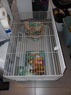 Cage pour lapin état impeccable !, Moins de 60 cm, 75 à 110 cm, Hamster, Cage