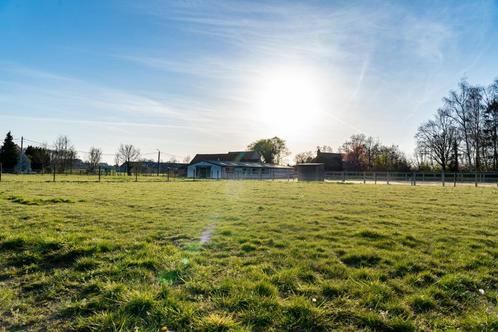 Paardenaccomodatie - paardenstal - weides - piste, Dieren en Toebehoren, Stalling en Weidegang, Stalling, Weidegang, 1 paard of pony
