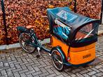 Babboe E-bakfiets Babboe Curve-E. Inclusief regenhuif, Ophalen of Verzenden, Zo goed als nieuw, 1 kind, Elektrisch