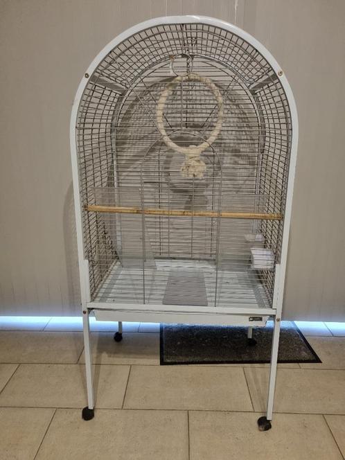 Grande cage pour perroquet - Occasion, Animaux & Accessoires, Oiseaux | Cages & Volières, Utilisé, Cage à oiseaux, Bois, Enlèvement ou Envoi