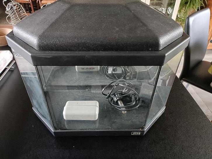 Aquarium, Dieren en Toebehoren, Vissen | Aquariumvissen