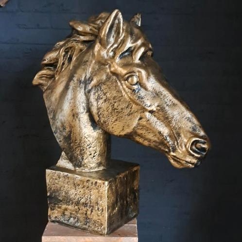 Paard, Dieren en Toebehoren, Paarden
