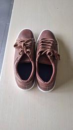 chaussures à lacets Pier One Neuve, Ophalen, Bruin, Nieuw, Veterschoenen