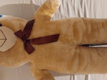 Een zeer grote teddybeer  beschikbaar voor biedingen