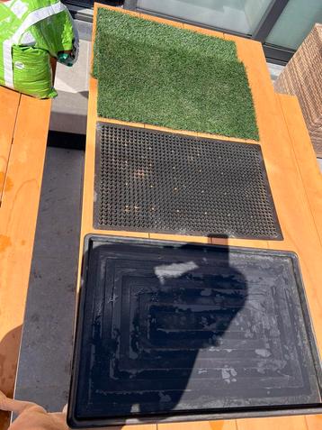 Hondentoilet puppy plasplaats beschikbaar voor biedingen