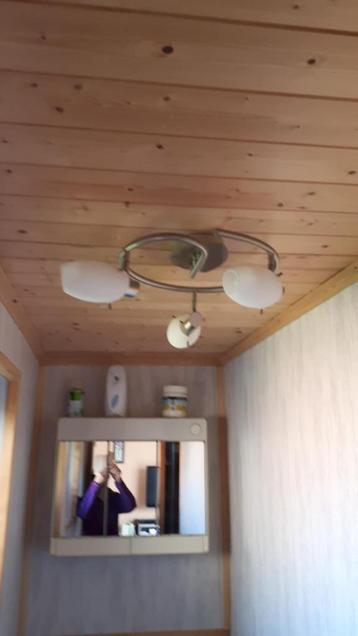  deux plafonniers à vendre beschikbaar voor biedingen