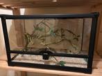 Terrarium met slang, Dieren en Toebehoren, Ophalen, Zo goed als nieuw