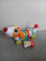 Chicco hond, Ophalen