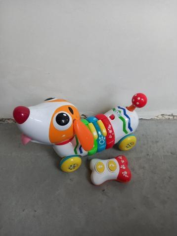 Chicco hond beschikbaar voor biedingen