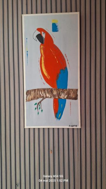 Frame voor papegaaien  beschikbaar voor biedingen