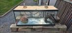 Terrarium te koop, Dieren en Toebehoren, Ophalen, Gebruikt, Terrarium of Paludarium