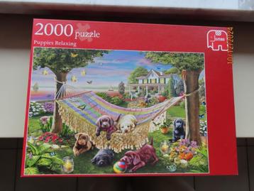 Puzzel 2000 st - Puppies relaxing in the garden beschikbaar voor biedingen
