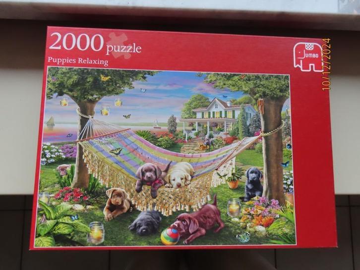 Puzzel 2000 st - Puppies relaxing in the garden, Hobby en Vrije tijd, Denksport en Puzzels, Zo goed als nieuw, Legpuzzel, Meer dan 1500 stukjes