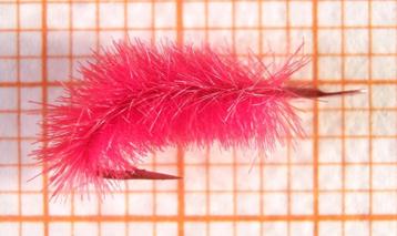 Gevlokte haken Lavis beschikbaar voor biedingen