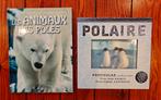 Lot 2 livres enfants sur les animaux polaires, Livres, Enlèvement ou Envoi