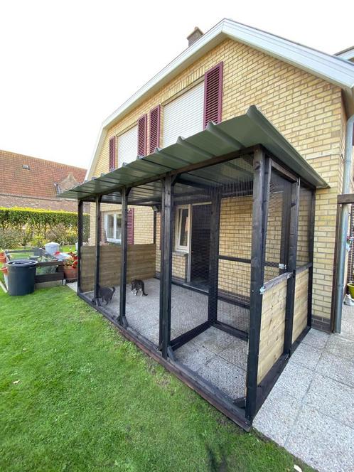 Ren voor katten, op maat, Dieren en Toebehoren, Katten-accessoires, Nieuw, Ophalen