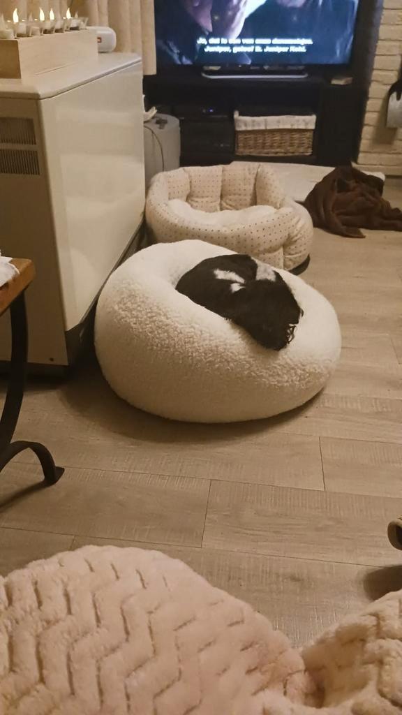 Adori devoted - wit - orthopedisch kussen, Huis en Inrichting, Zitzakken, Nieuw, Overige typen, Wit, Ophalen