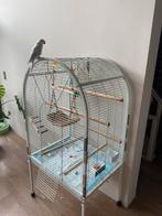 Vogelkooi te koop (zonder vogel), Ophalen of Verzenden, Gebruikt, Vogelkooi