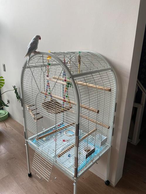 Vogelkooi te koop (zonder vogel), Dieren en Toebehoren, Vogels | Hokken en Kooien, Gebruikt, Vogelkooi, Ophalen of Verzenden