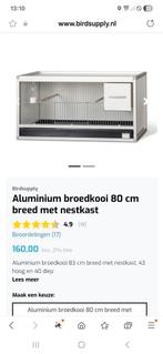 Set van 12 kweekkooien, 2jaar oud, Ophalen, Zo goed als nieuw