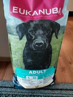 Eukanuba, Enlèvement, Chien