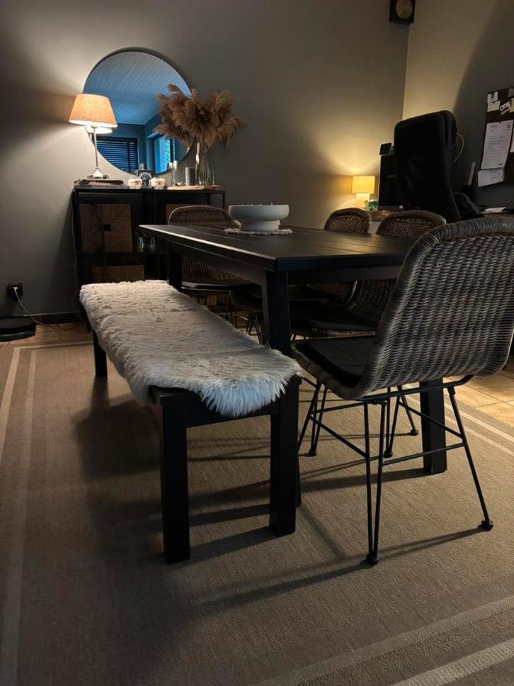 Compacte eettafel met bank , stoelen ( gratis mat), Huis en Inrichting, Tafels | Eettafels, Zo goed als nieuw, Ophalen