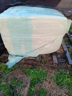 voordroog, Animaux & Accessoires, Bovins