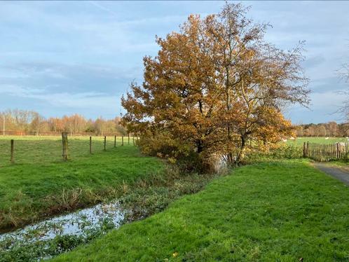 Gezocht: weide of landbouwgrond (regio Lier en Boechout), Immo, Gronden en Bouwgronden, 500 tot 1000 m²
