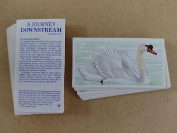 A Journey Downstream complete set 25 chromos flora fauna beschikbaar voor biedingen