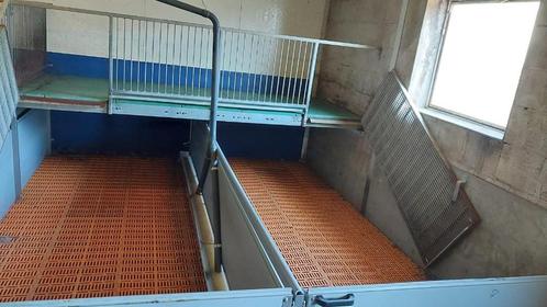 Biggen hokken brijvoer [479], Dieren en Toebehoren, Schapen, Geiten en Varkens