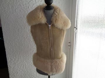 Veste courte sans manches 100% mouton Taille 38 beschikbaar voor biedingen