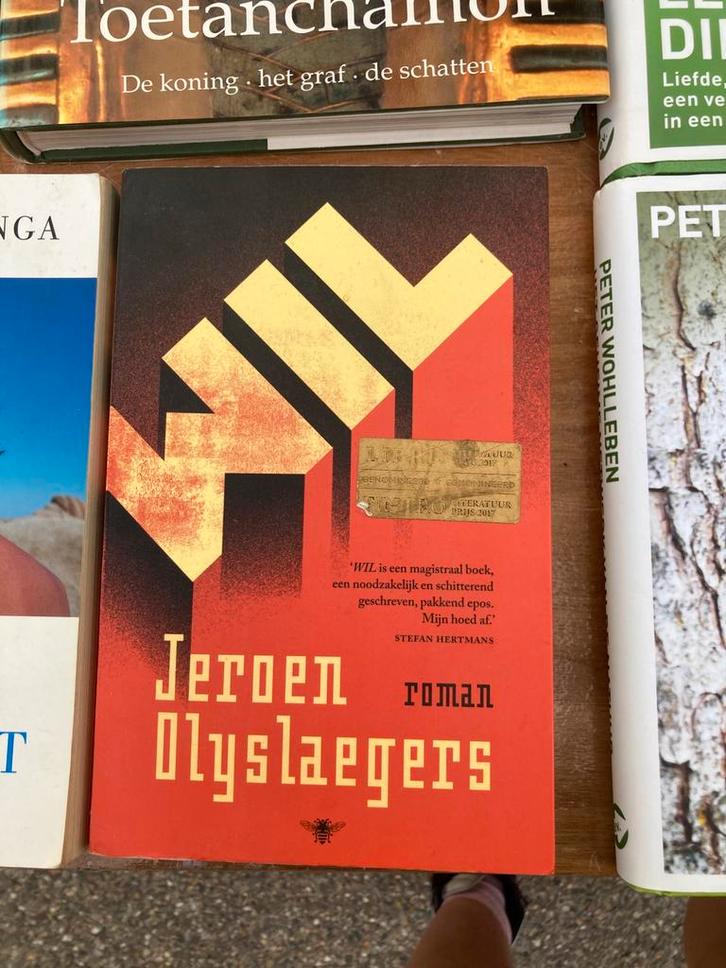 Jeroen Olyslaegers - Wil, Boeken, Literatuur, Ophalen